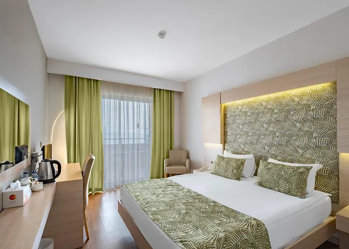 Standard Queen Room